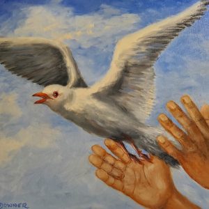 Freedom