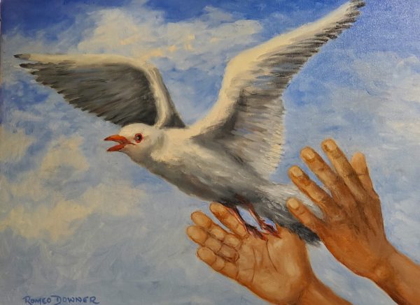 Freedom